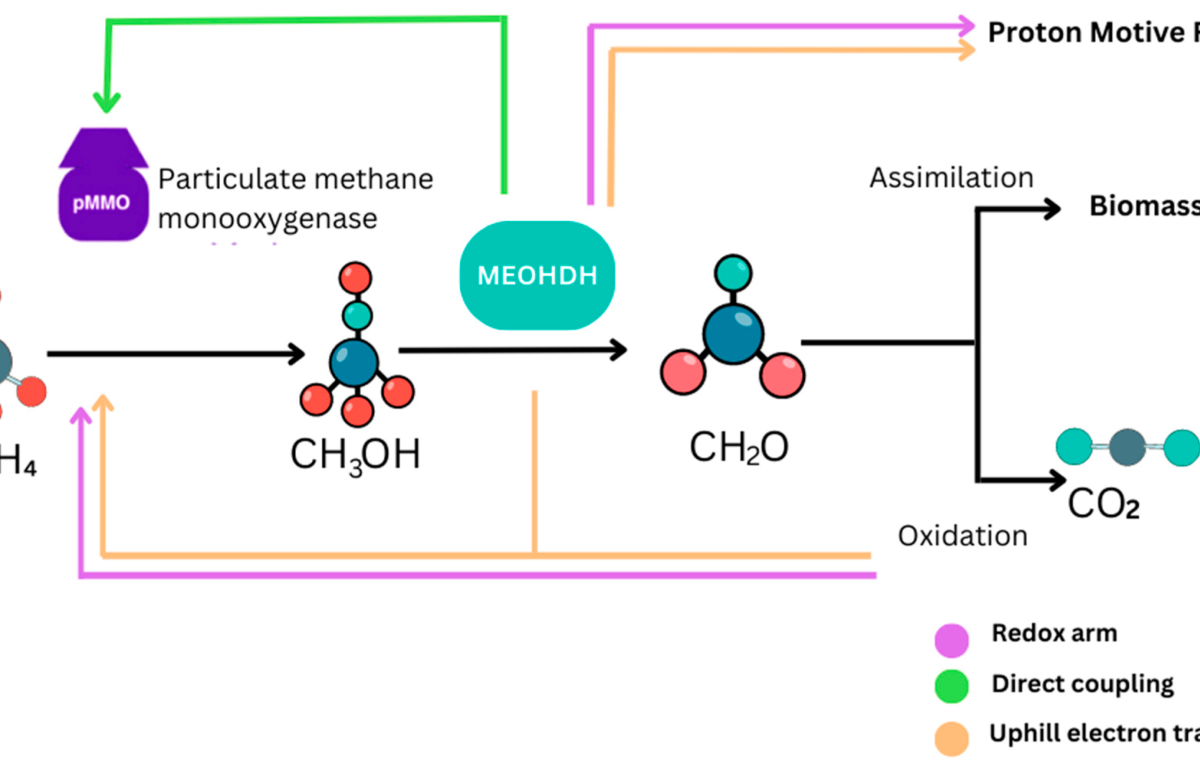 Modes of Electron transfer