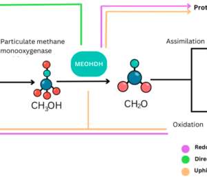 Modes of Electron transfer