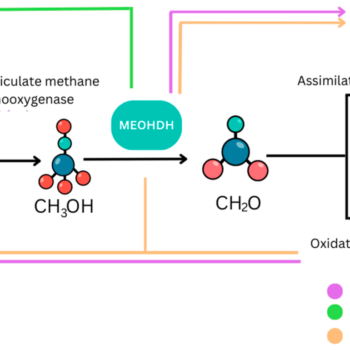 Modes of Electron transfer
