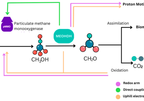 Modes of Electron transfer