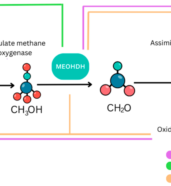 Modes of Electron transfer