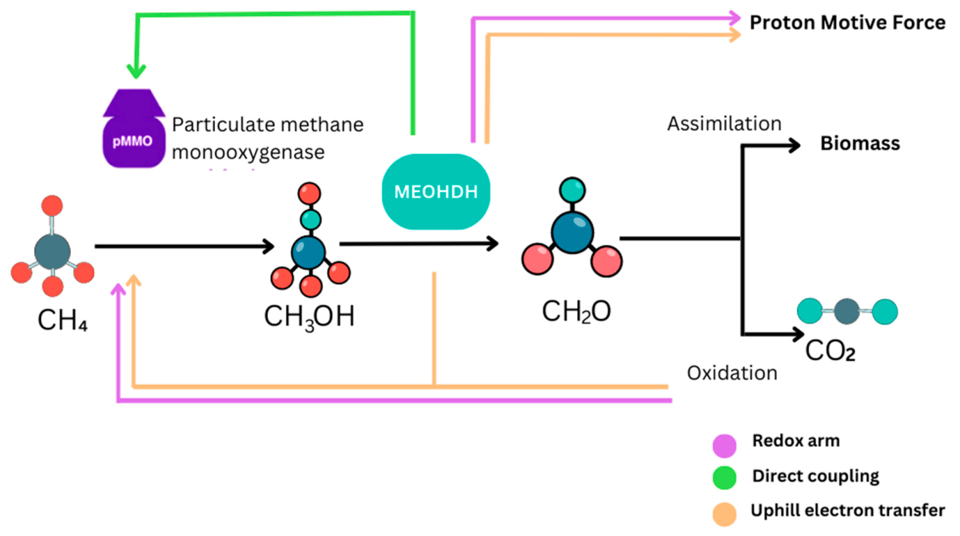 Modes of Electron transfer