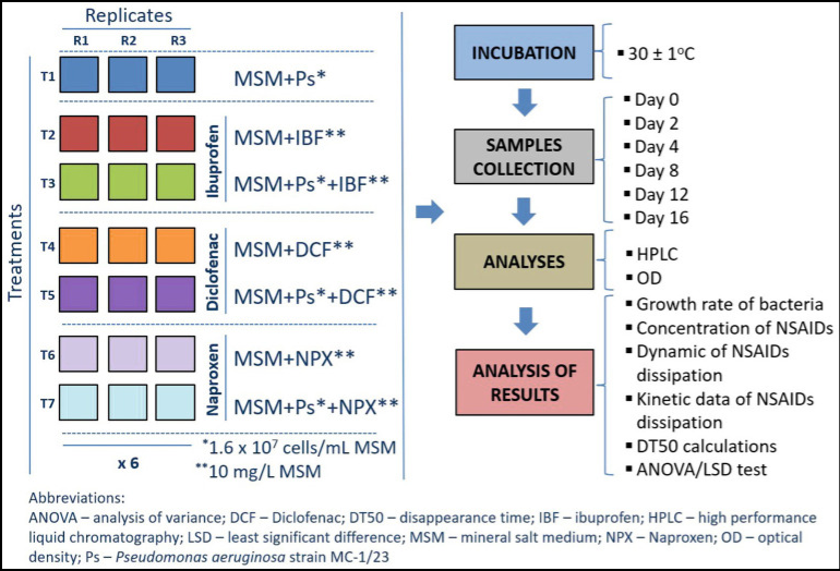 Diagram showing how the experiment was set up and analyzed using a nutrient-rich solution (mineral salt medium).