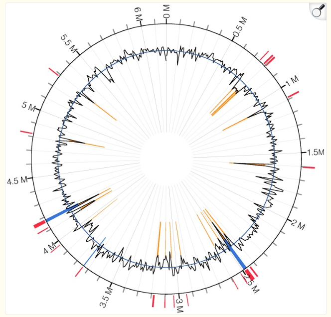Genomic islands of P. sp. UW4 predicted by IslandViewer.