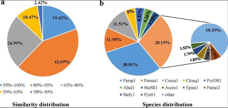 Protein Functions in the Genome of C. minitans