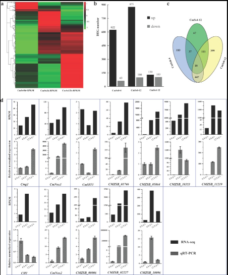 Gene Activity Changes in C. minitans When Exposed to Another Fungus