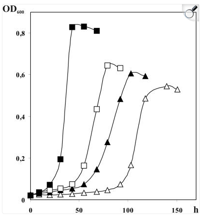 Bacterial Growth Over Time