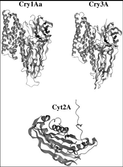 3D Structures of Insecticidal Proteins