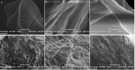 Organic Acid Levels from Different Rock Types