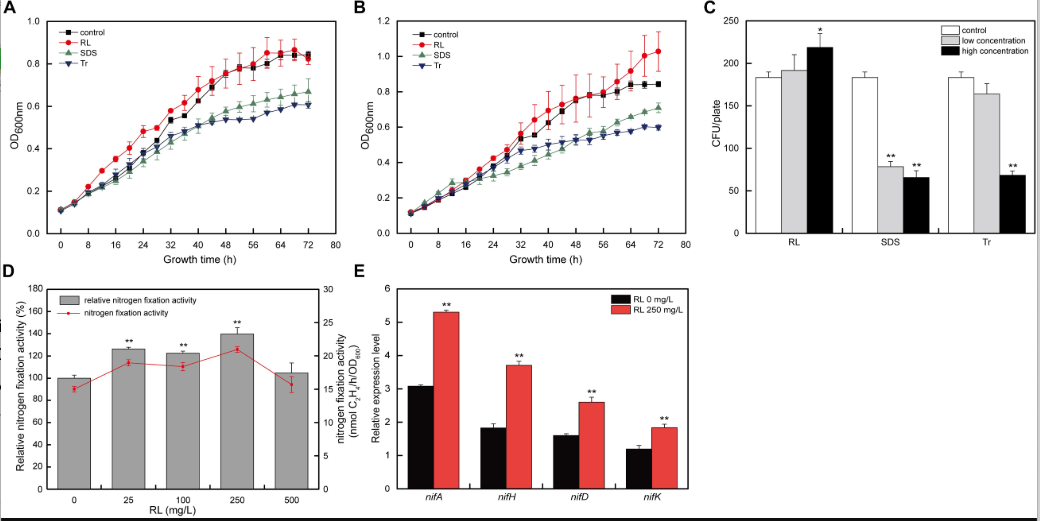 Effect of Biosurfactants on Bacterial Growth and Nitrogen Fixation