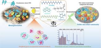 How Microbes Help Clean Up Crude Oil