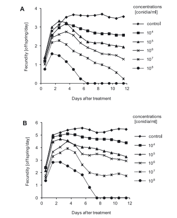 Fungal Exposure Reduces Insect Reproduction