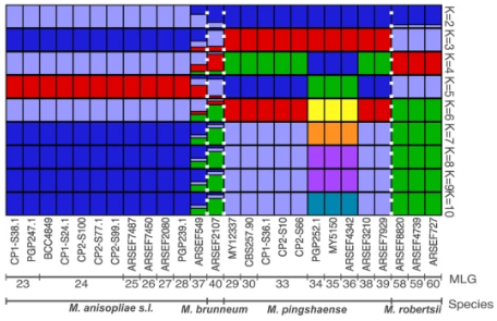 Genetic Grouping of Metarhizium Fungi Using Color Blocks